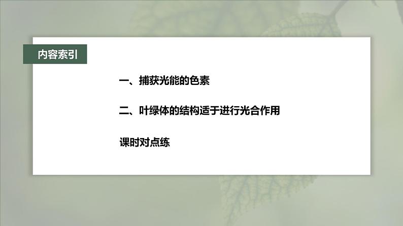第5章 第4节 第1课时 捕获光能的色素和结构第4页