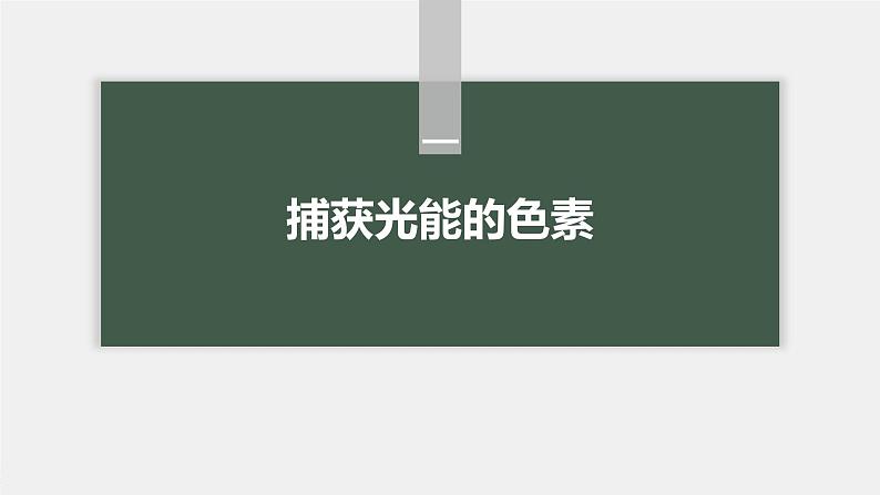 第5章 第4节 第1课时 捕获光能的色素和结构第5页