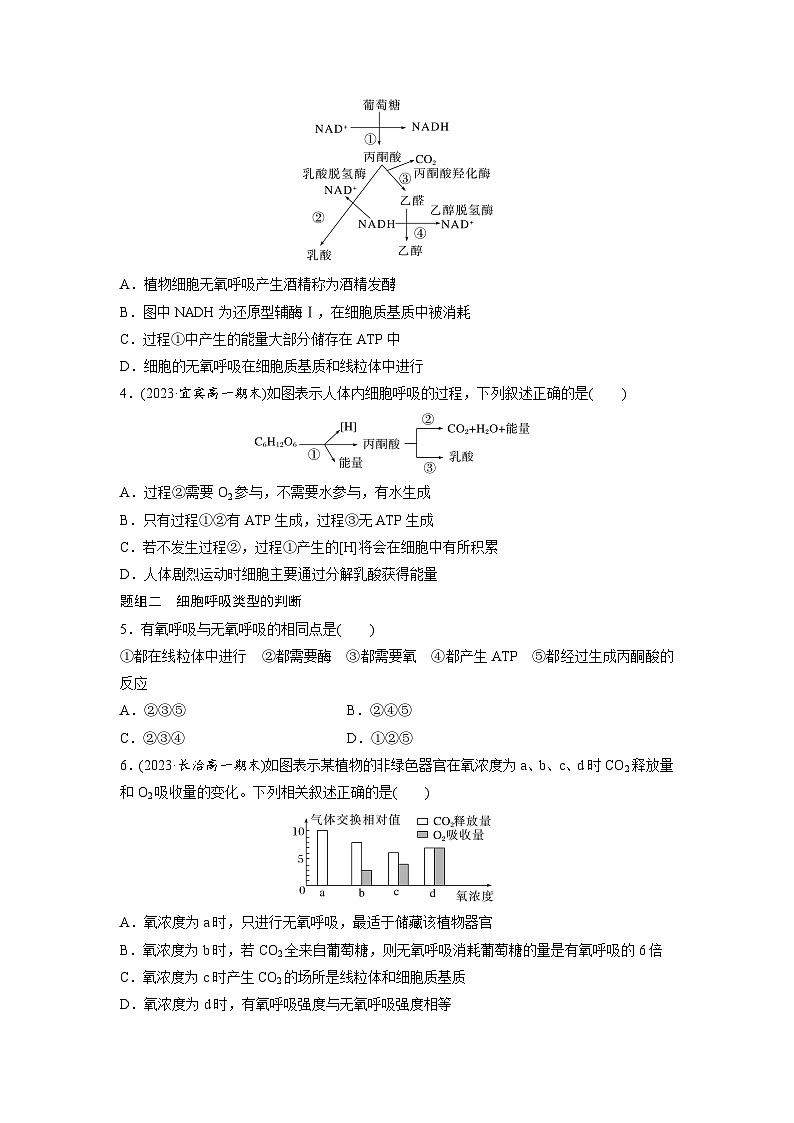 第5章 作业23 无氧呼吸和细胞呼吸原理的应用(练习)第2页