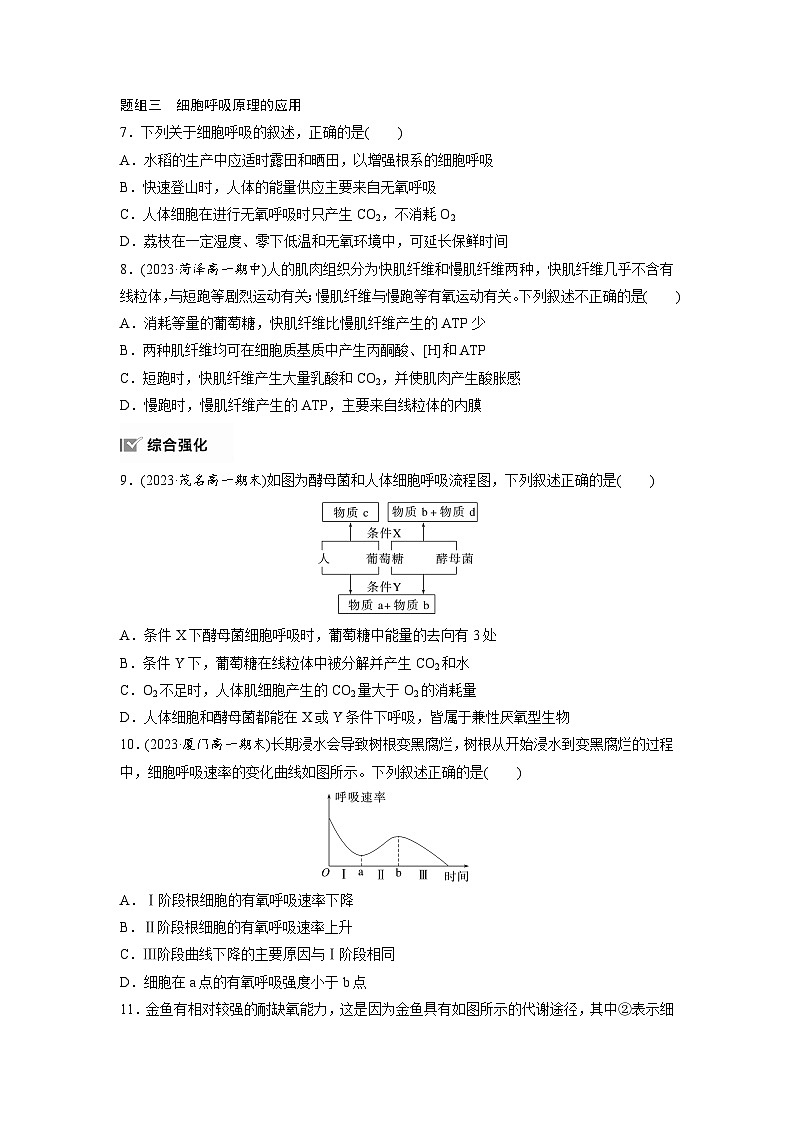 第5章 作业23 无氧呼吸和细胞呼吸原理的应用(练习)第3页