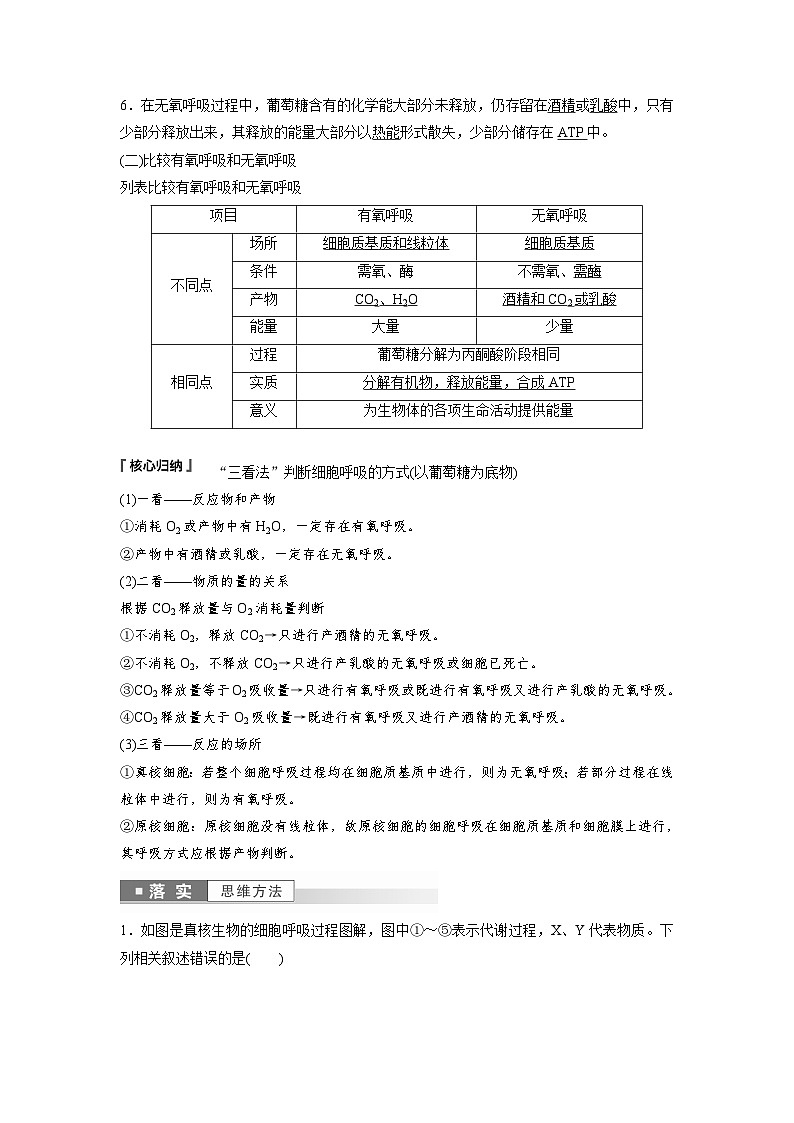 第5章 第3节 第2课时 无氧呼吸和细胞呼吸原理的应用(教师版)第3页