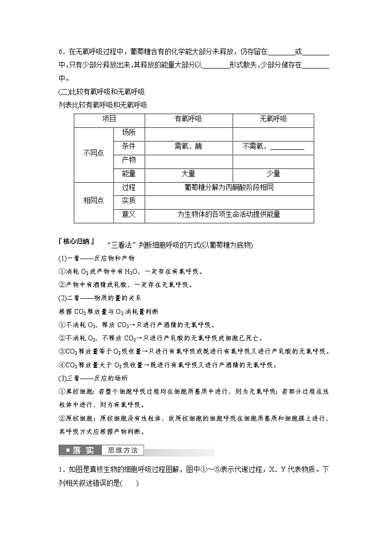 第5章 第3节 第2课时 无氧呼吸和细胞呼吸原理的应用(学生版)第3页
