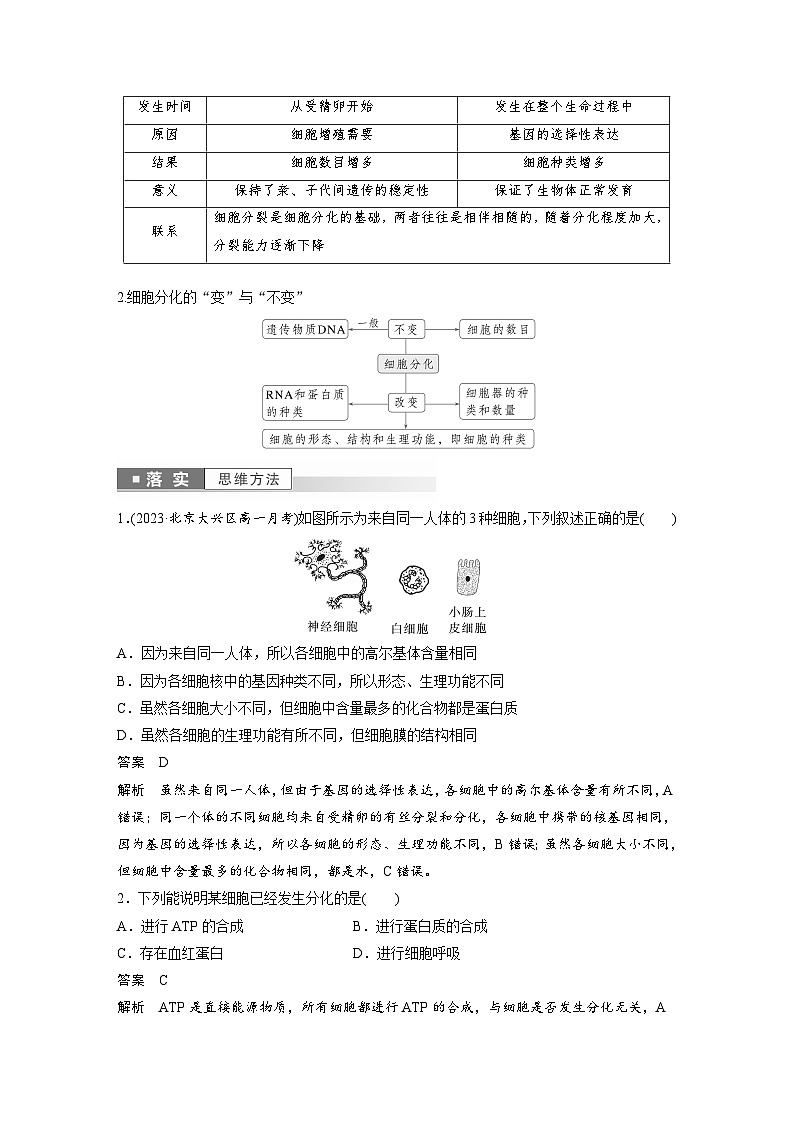 第6章 第2节 细胞的分化(教师版)第3页