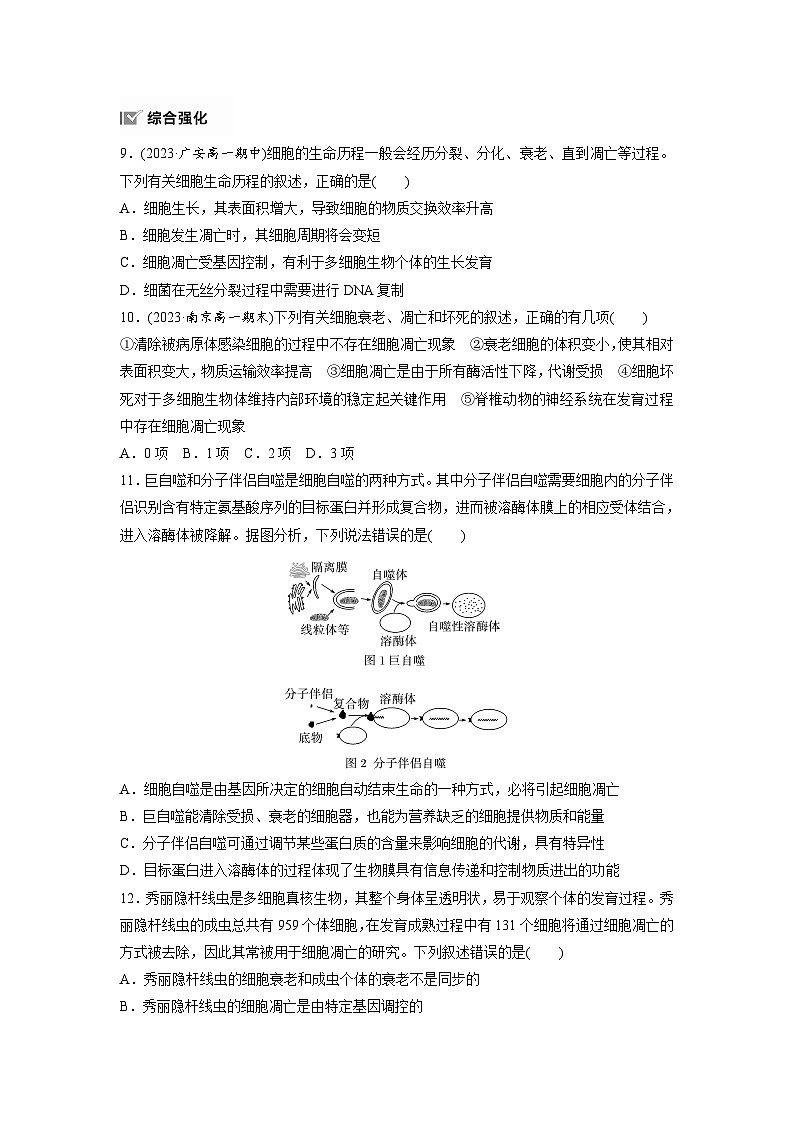 第6章 作业31 细胞的衰老和死亡(练习)第3页