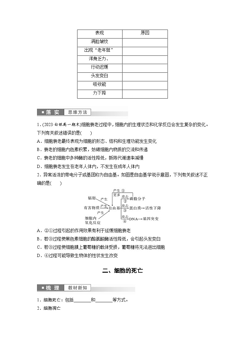 第6章 第3节 细胞的衰老和死亡(学生版)第3页