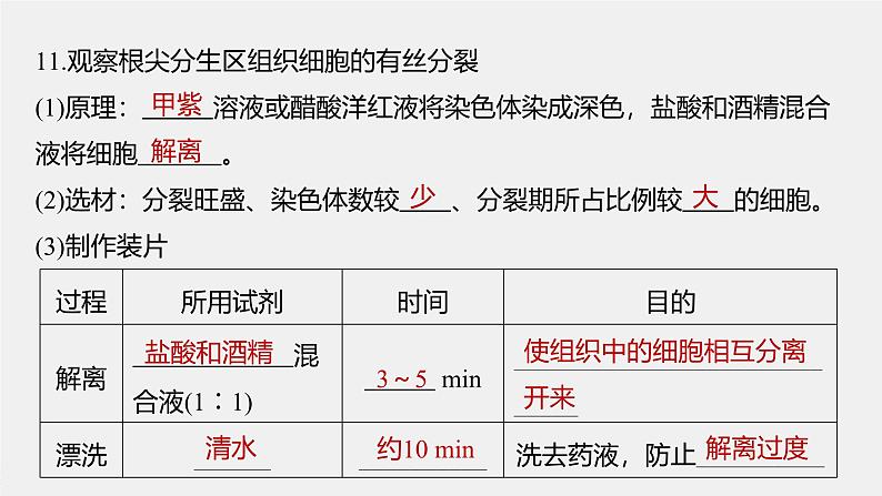 主干知识排查(第6章)第8页