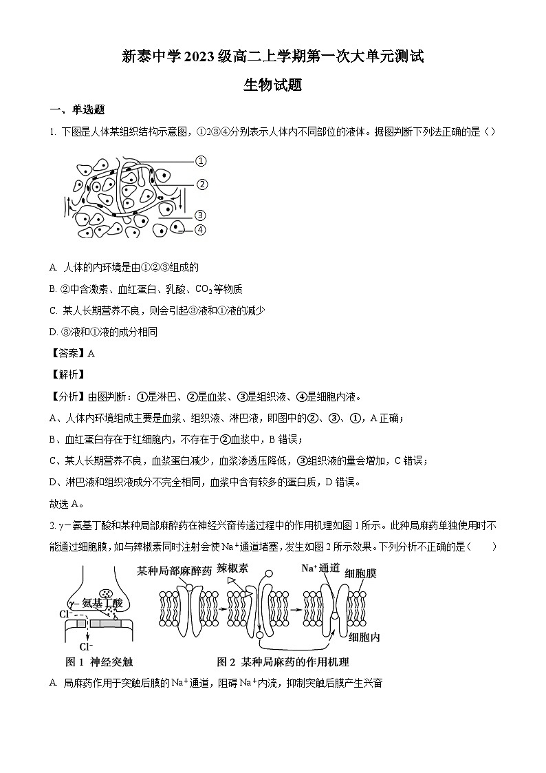 山东省泰安市新泰第一中学老校区(新泰中学)2024-2025学年高二上学期第一次月考生物试题(解析版)第1页