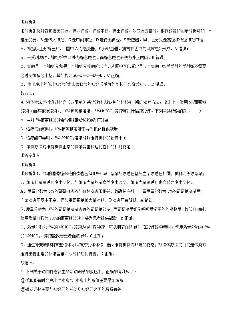 山东省泰安市新泰第一中学老校区(新泰中学)2024-2025学年高二上学期第一次月考生物试题(解析版)第3页