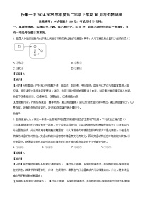 辽宁省抚顺市第一中学2024-2025学年高二上学期10月月考生物试题（解析版）
