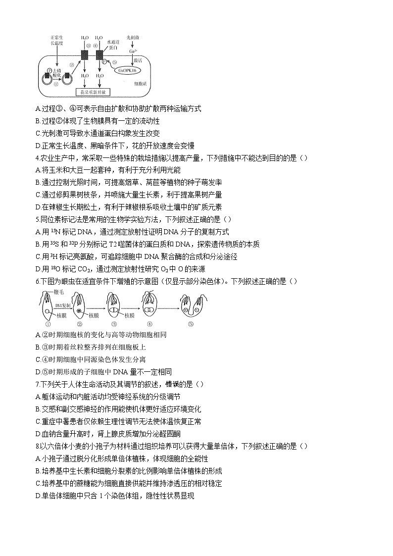江苏省海门中学2024-2025学年高三上学期第一次调研考试生物试卷02