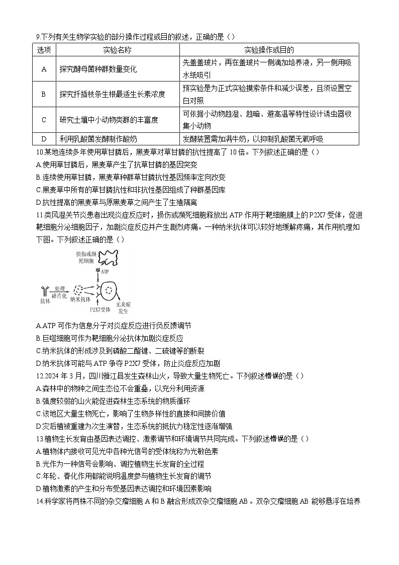 江苏省海门中学2024-2025学年高三上学期第一次调研考试生物试卷03