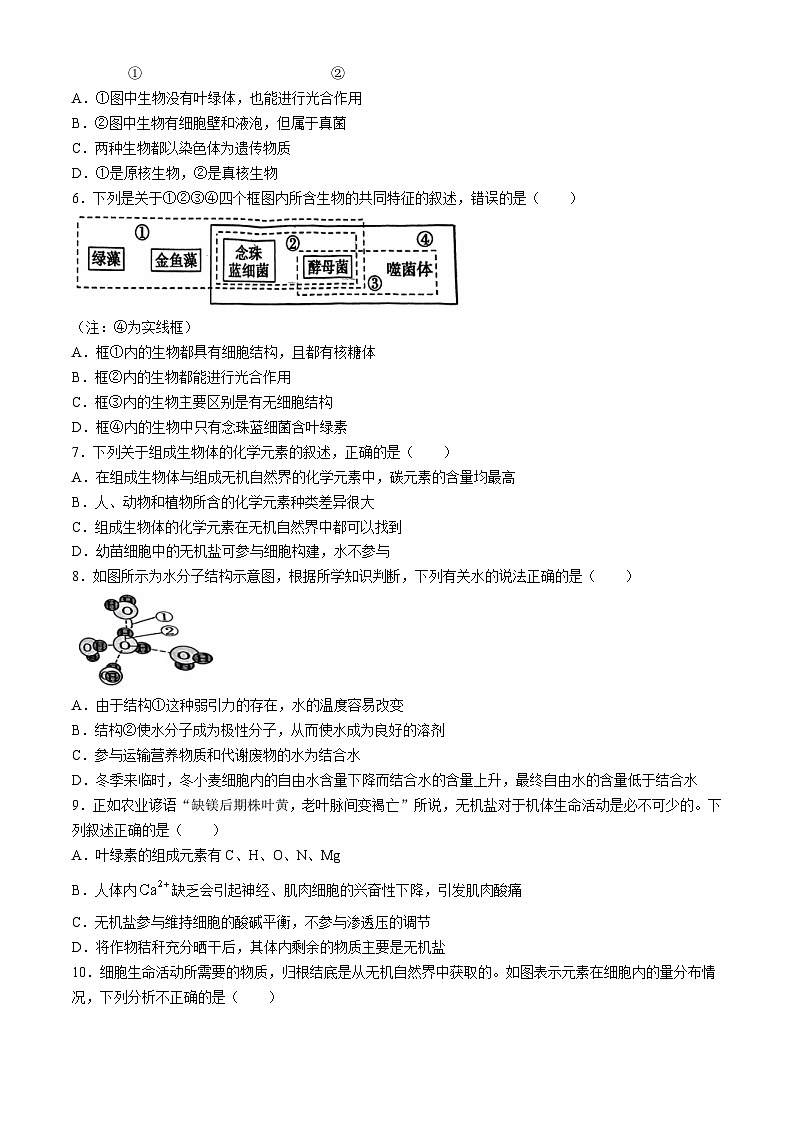 湖北省鄂东南省级示范学校联考2024-2025学年高一上学期10月月考生物试题(无答案)第2页