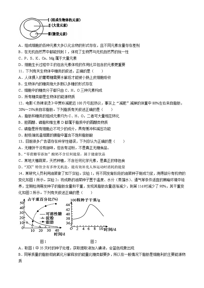 湖北省鄂东南省级示范学校联考2024-2025学年高一上学期10月月考生物试题(无答案)第3页