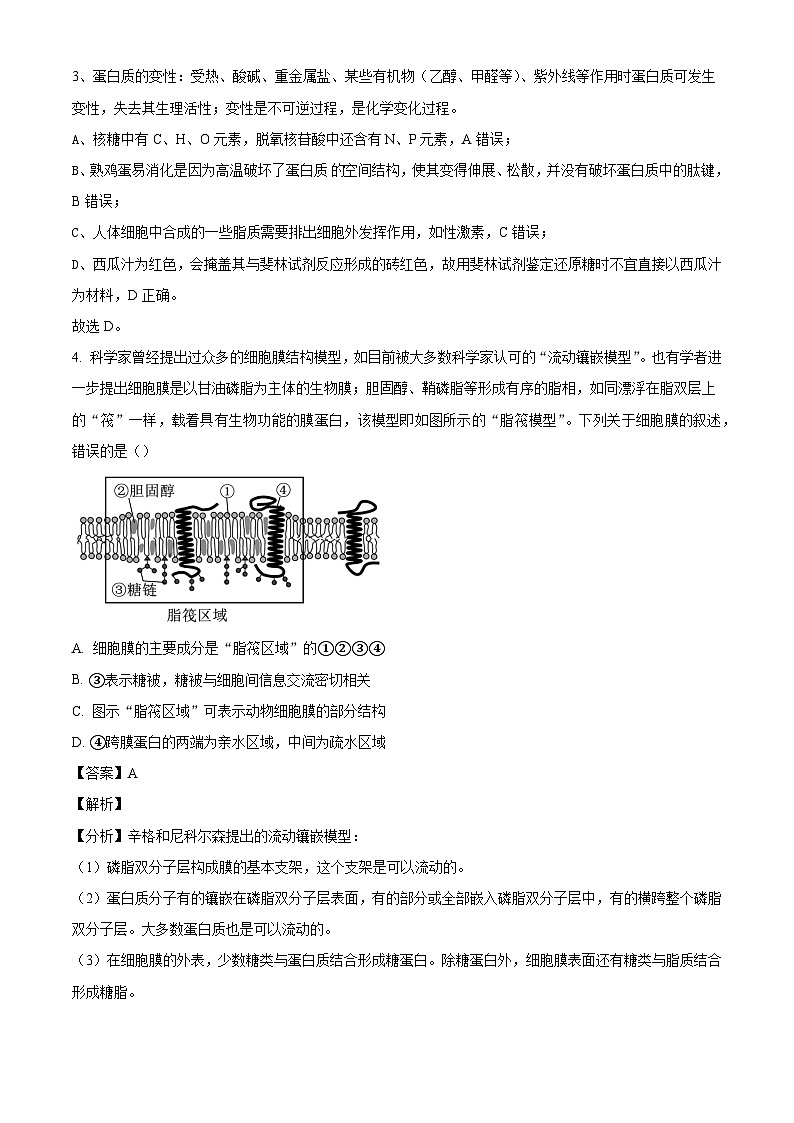 皖豫名校联盟2024-2025学年高三上学期10月联考生物试题(解析版)第3页