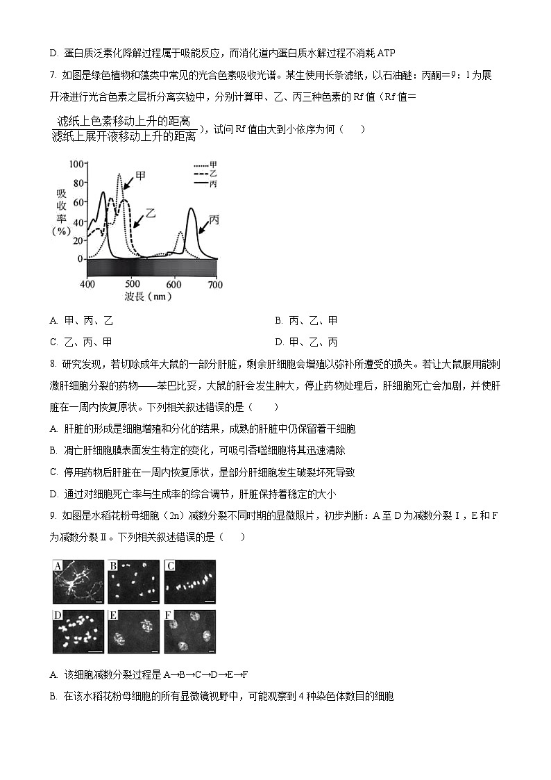 湖南省长沙市雅礼中学2025届高三上学期月考(二)生物试题 Word版(附解析版)03