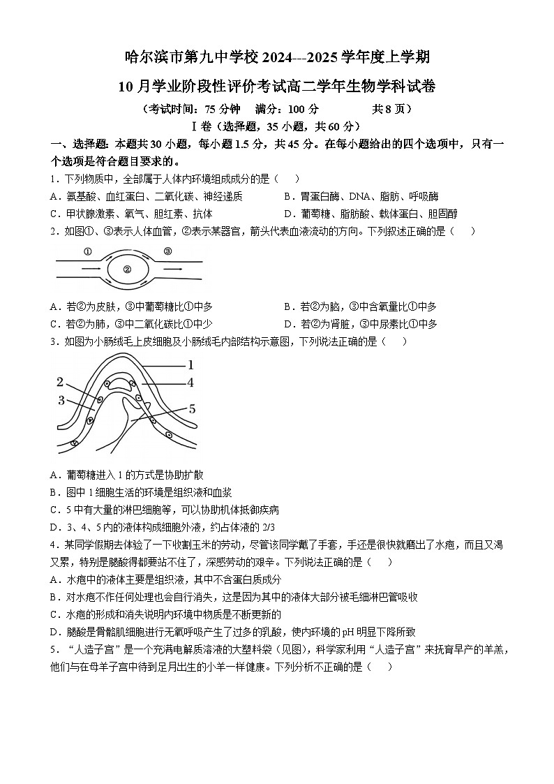 黑龙江省哈尔滨市第九中学2024-2025学年高二上学期10月考试生物学科考试试卷(无答案)01