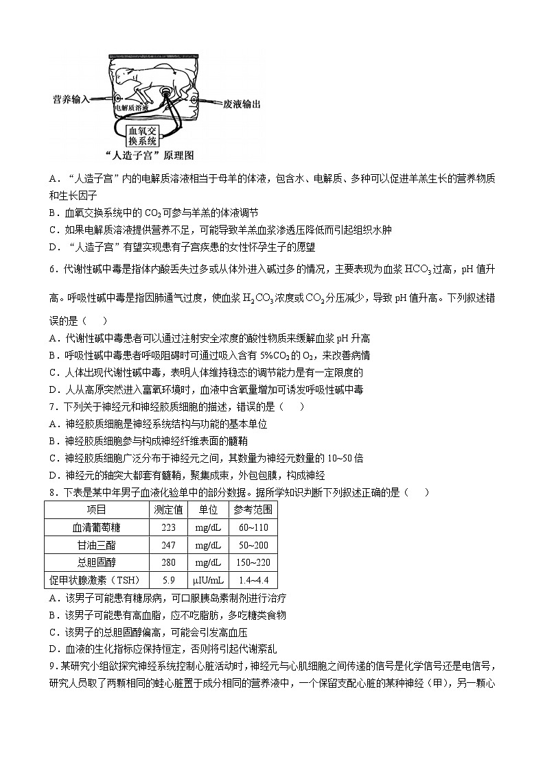 黑龙江省哈尔滨市第九中学2024-2025学年高二上学期10月考试生物学科考试试卷(无答案)02