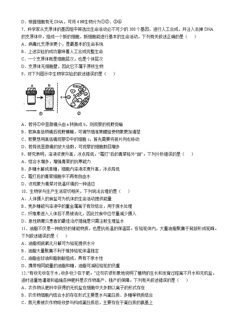 广东省揭阳市惠来县一中2024-2025学年高一上学期10月月考生物试题(无答案)第2页