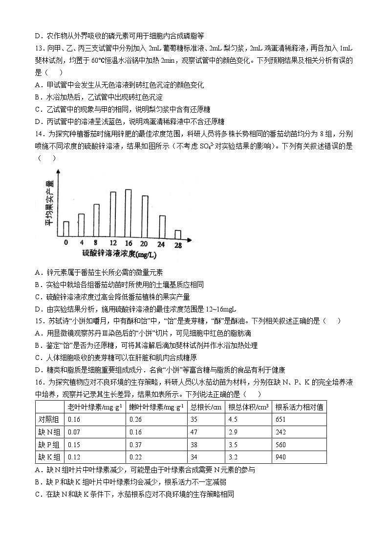 广东省揭阳市惠来县一中2024-2025学年高一上学期10月月考生物试题(无答案)第3页