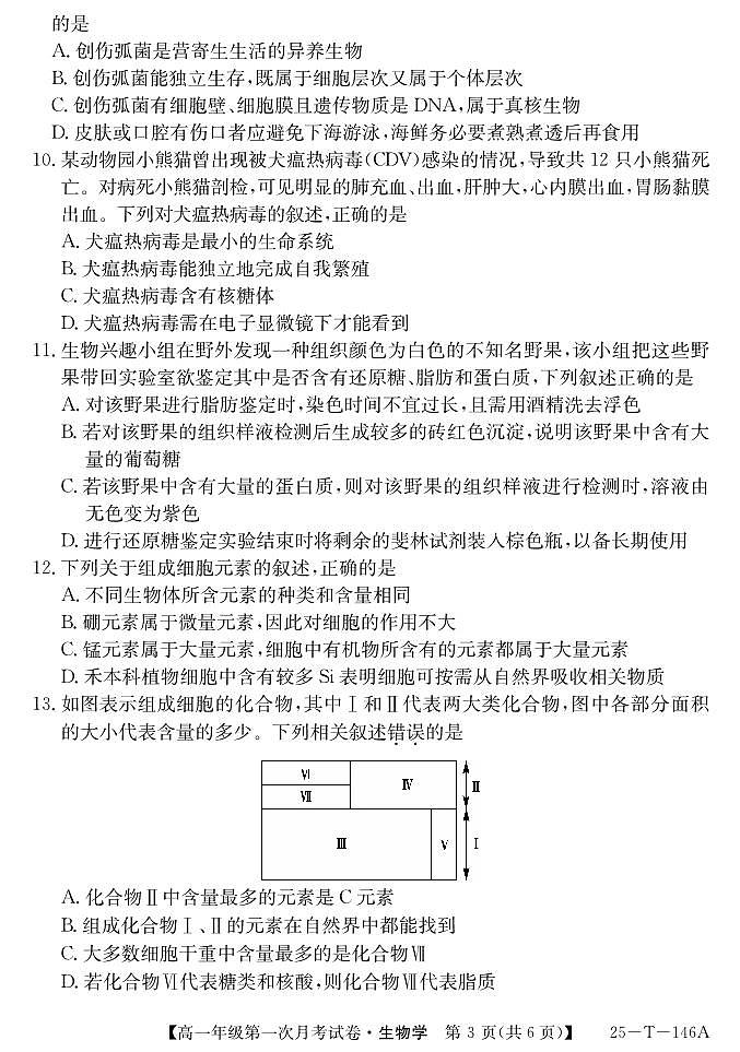 安徽省亳州市涡阳县2024-2025学年高一上学期10月月考生物试题第3页