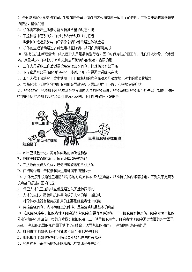山东省菏泽市鄄城县第一中学2024-2025学年高二上学期10月月考生物试题第3页