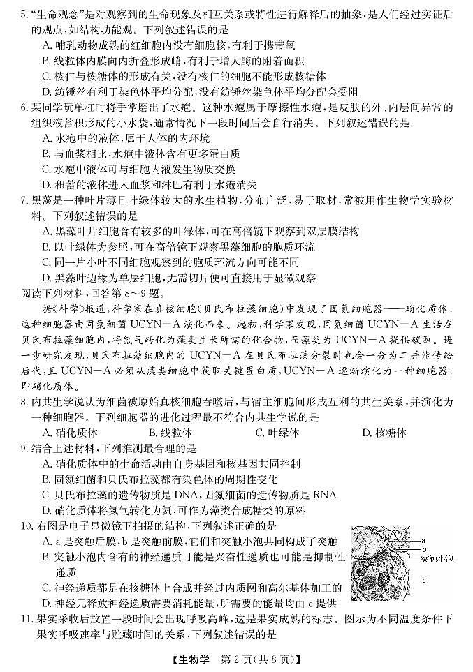 强基联盟高二10月联考--生物试卷第2页