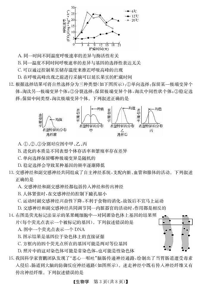 强基联盟高二10月联考--生物试卷第3页