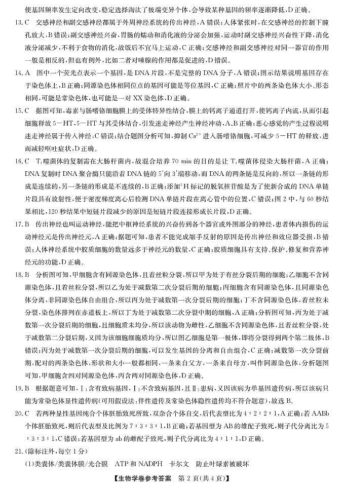 强基联盟高二10月联考--生物答案第2页