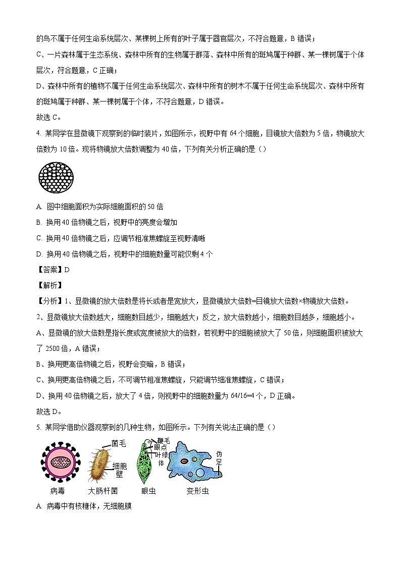 江西省多校联考2024-2025学年高一上学期10月月考生物试题(解析版)第3页