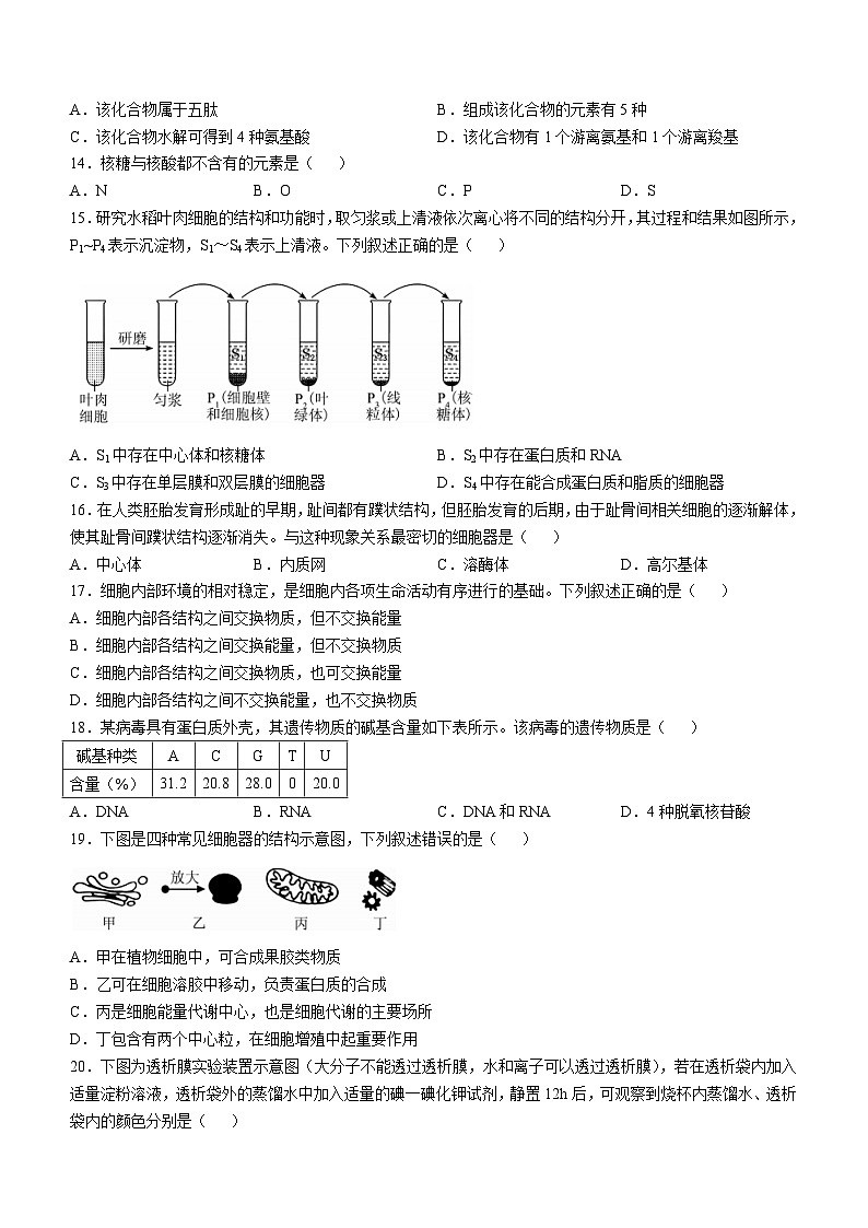 浙江省强基联盟2024-2025学年高一上学期10月联考生物试卷第3页