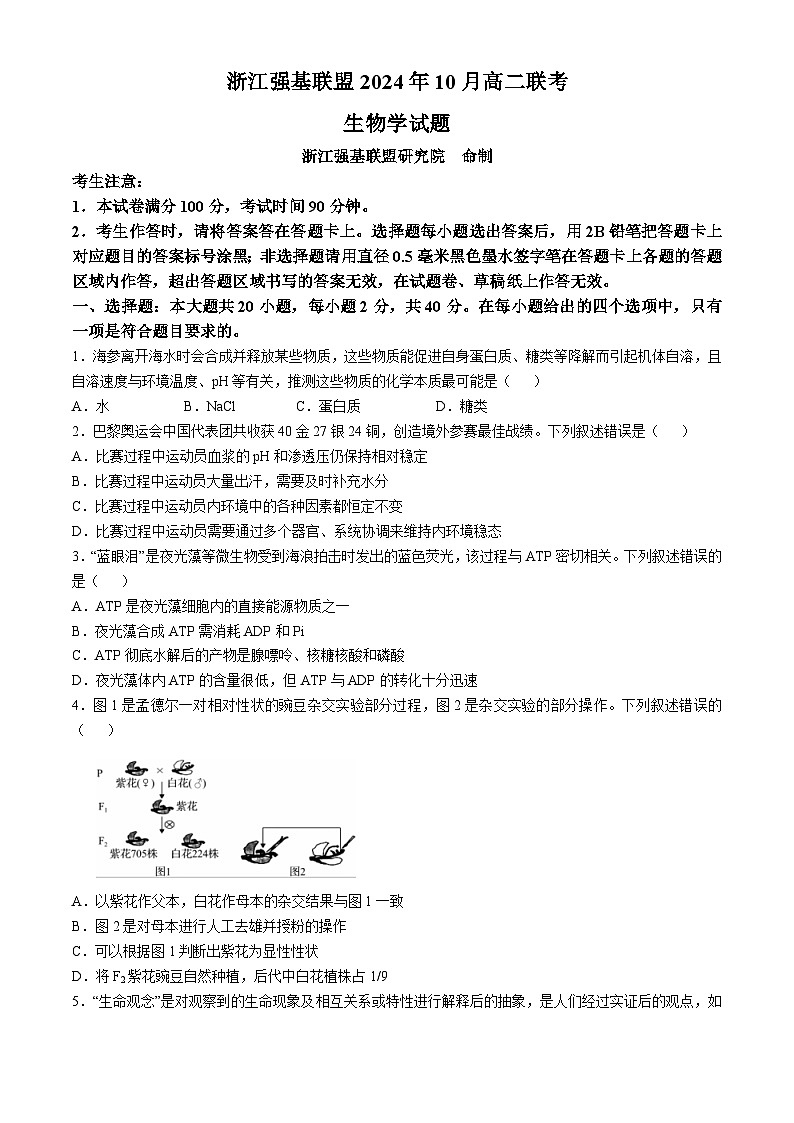 浙江省强基联盟2024-2025学年高二上学期10月联考生物试卷01