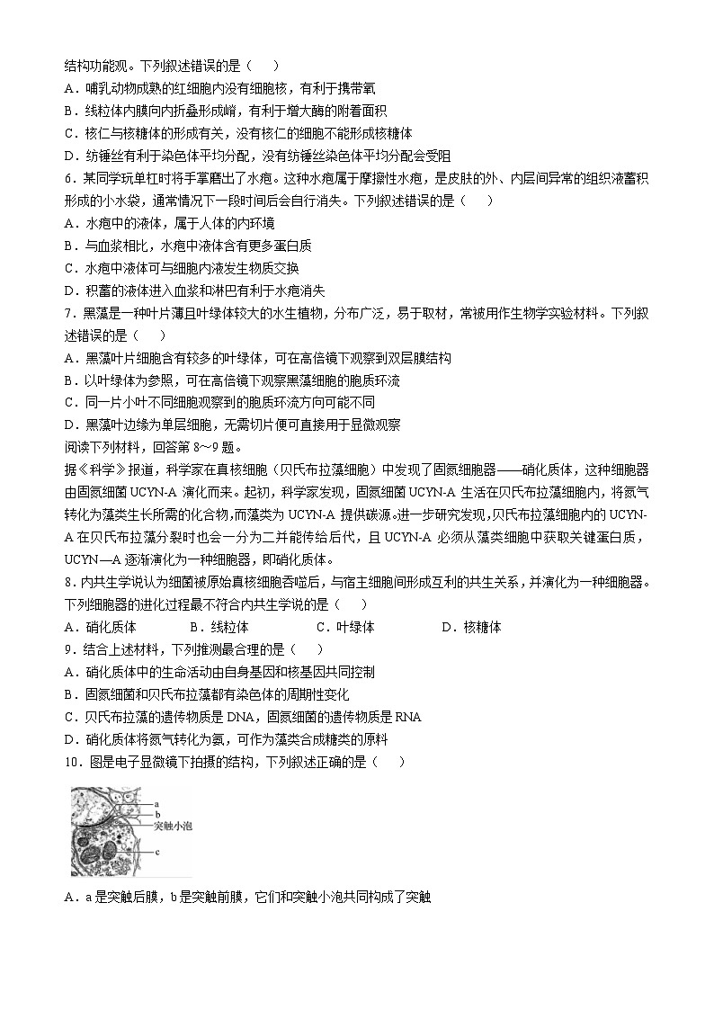 浙江省强基联盟2024-2025学年高二上学期10月联考生物试卷02