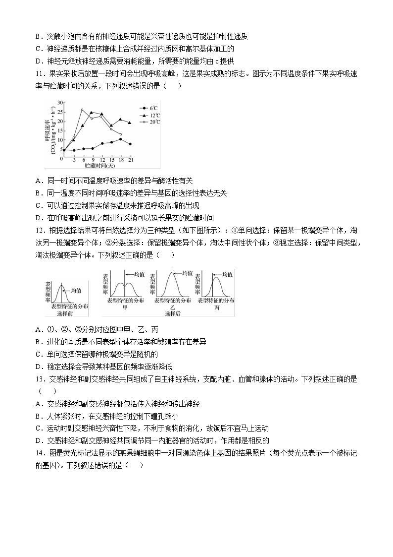 浙江省强基联盟2024-2025学年高二上学期10月联考生物试卷03