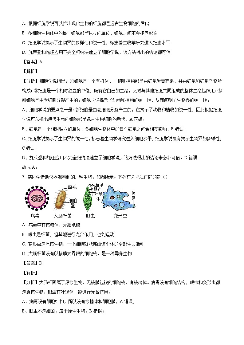 内蒙古名校联盟2024-2025学年高一上学期10月大联考生物试题(解析版)第2页