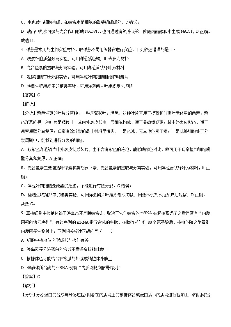 广东省深圳市罗湖区深圳中学2024-2025学年高三上学期10月月考生物试题(解析版)03