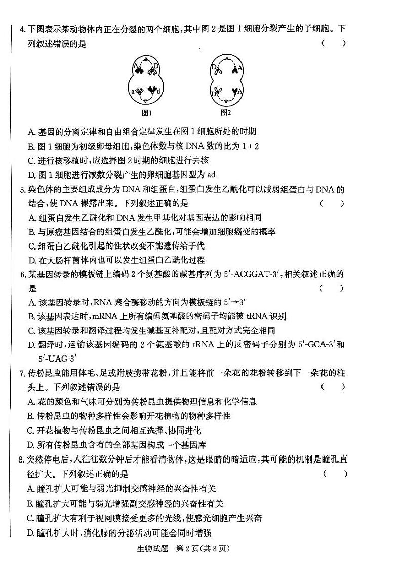 河北省邯郸市2025届高三第一次调研监测试卷+生物第2页