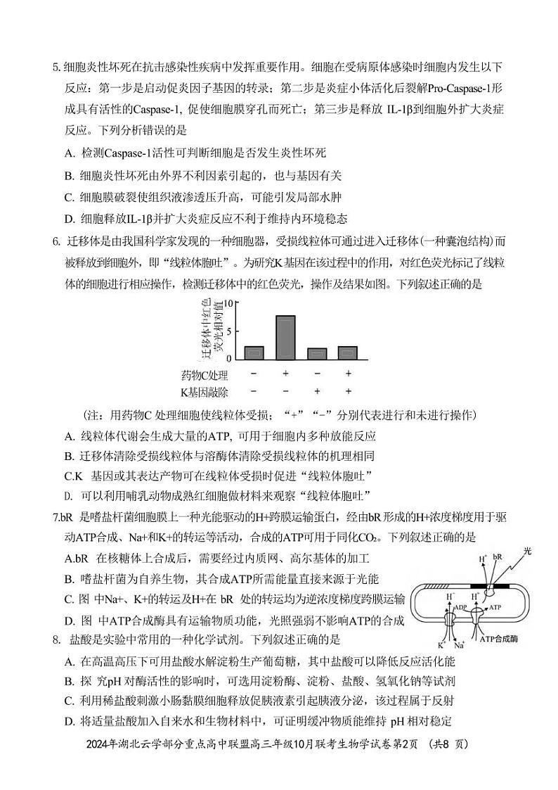 生物丨湖北省云学部分重点高中联盟2024年高三10月联考生物试卷及答案第2页