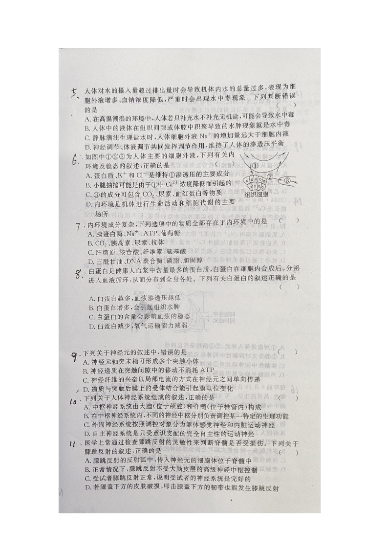 辽宁省铁岭市西丰县第二高级中学2024-2025学年高二上学期开学考试生物试题第2页