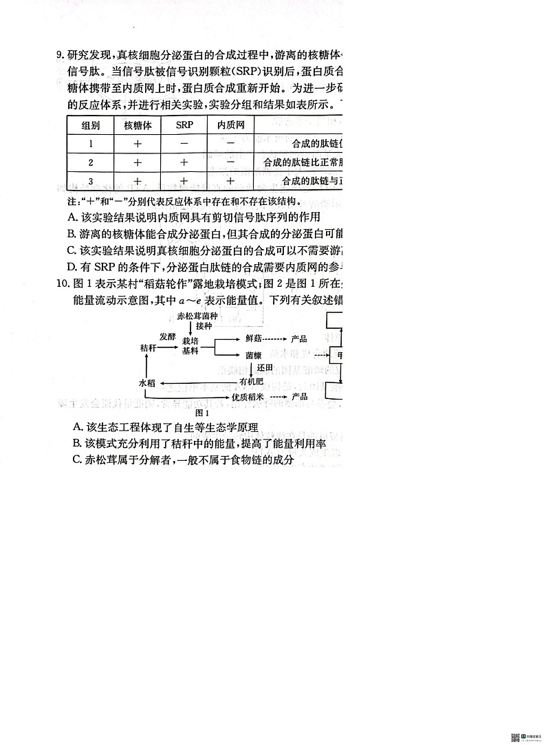 河北省邢台市质检联盟2024-2025学年高三上学期10月月考试题 生物 含答案第3页