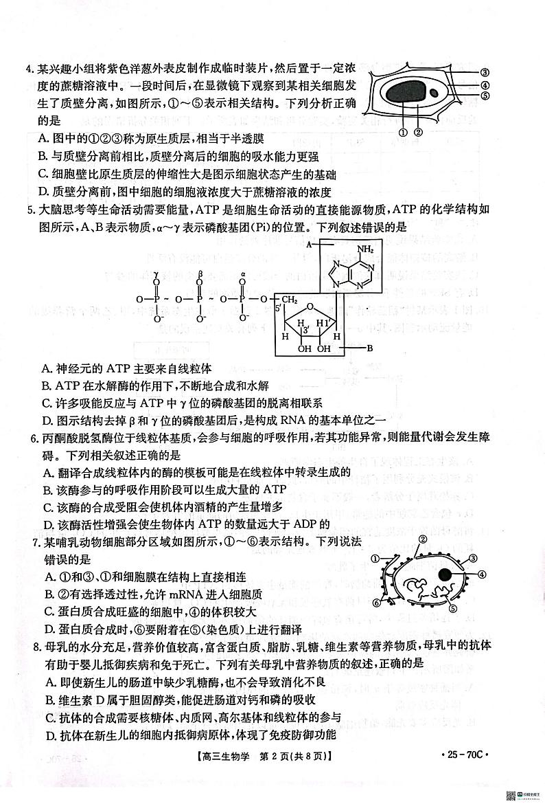 河北省邢台市质检联盟2024-2025学年高三上学期10月月考试题 生物 含答案第2页