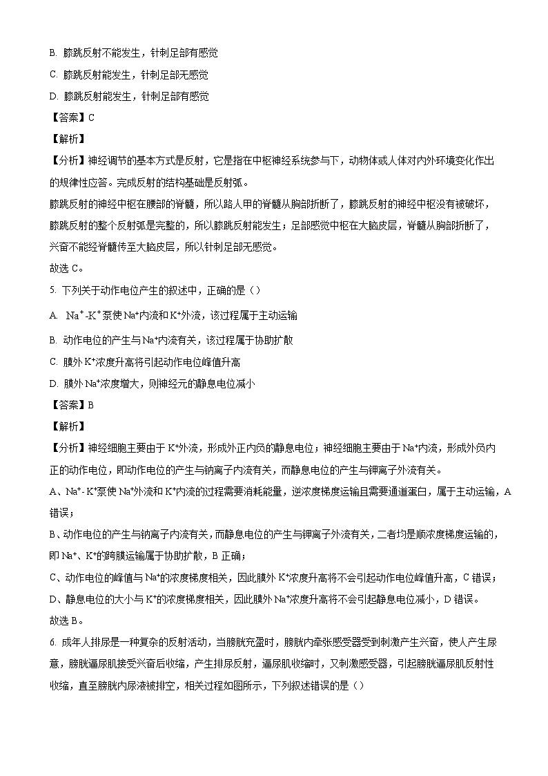 河北省邯郸市大名县第一中学2024-2025学年高二上学期10月月考生物试卷(解析版)第3页