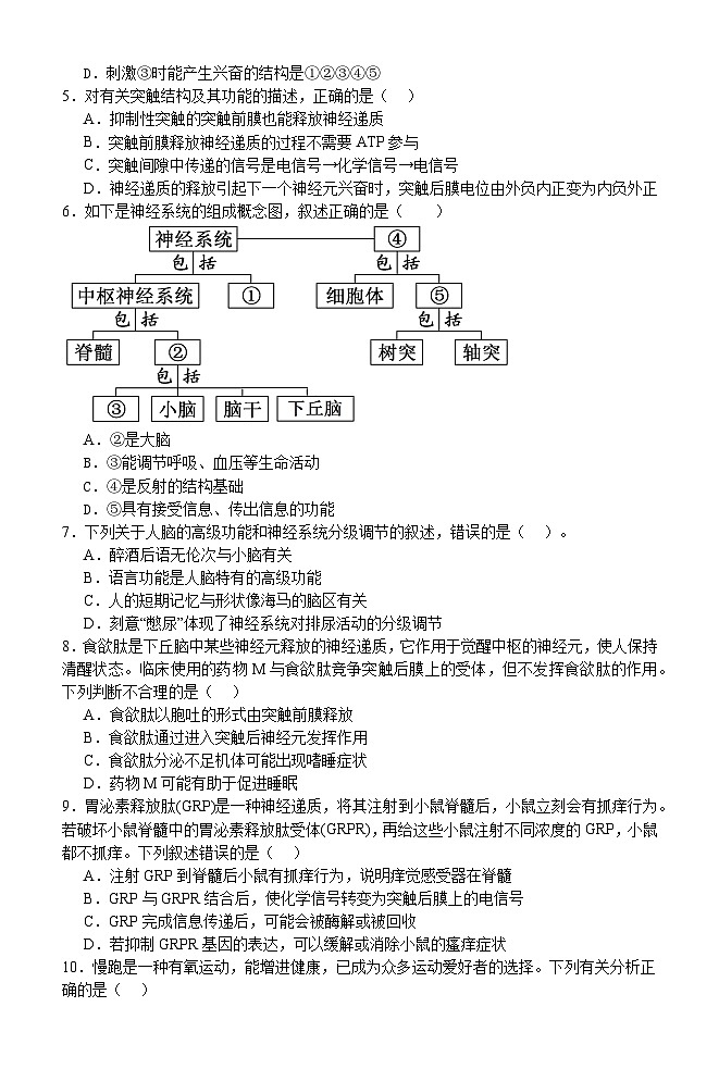 黑龙江省牡丹江市第二高级中学2024-2025学年高二上学期10月月考生物试题第2页