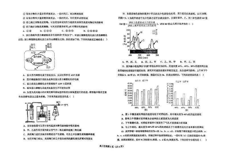 2024-2025学年度辽东南协作体上学期高三年级10月月考-生物第2页