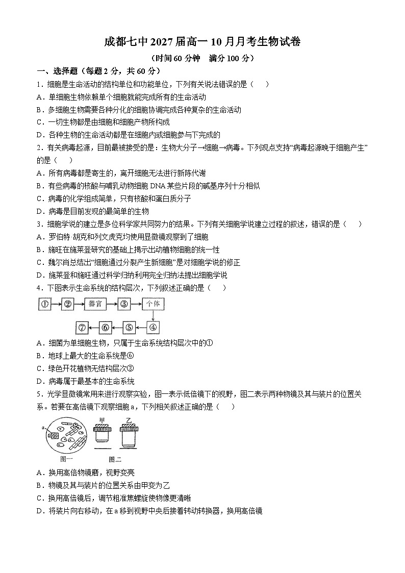四川省成都市第七中学2024-2025年高一上学期10月月考生物题第1页