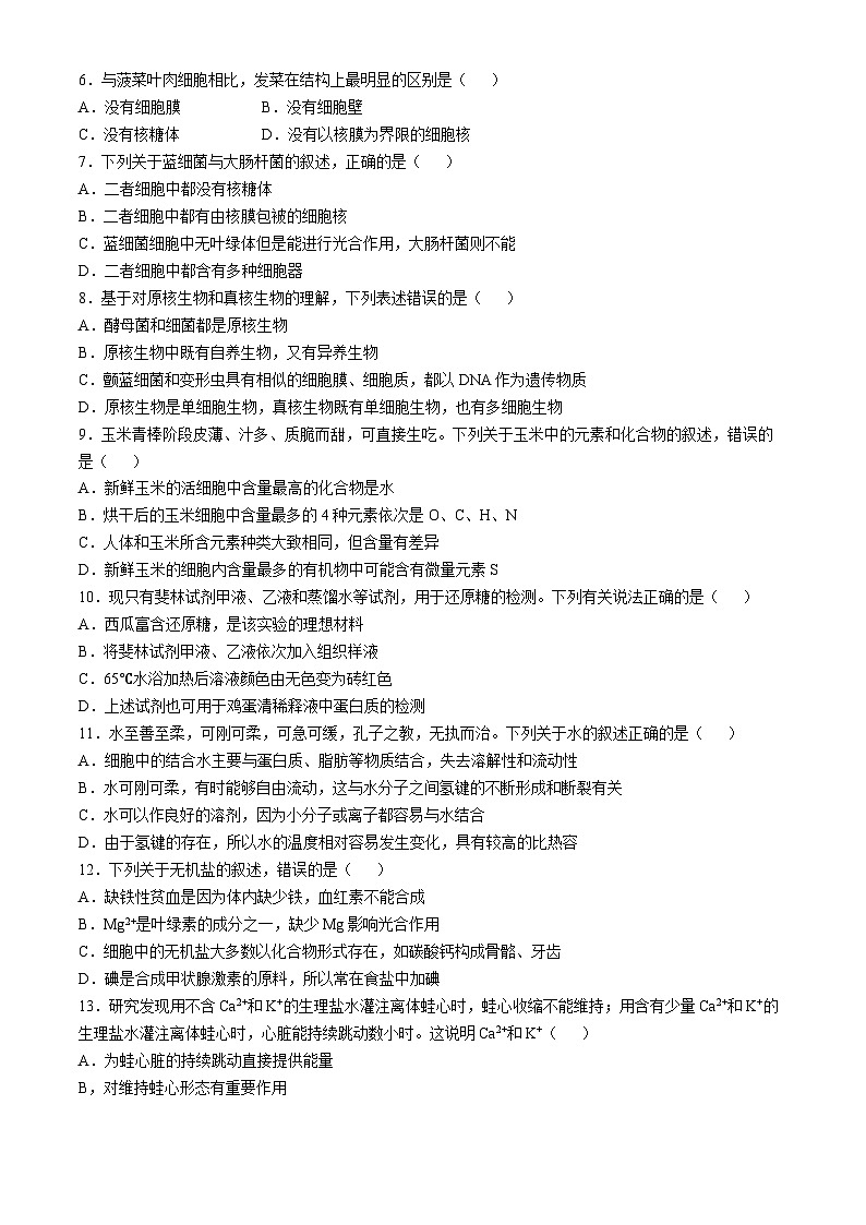 四川省成都市第七中学2024-2025年高一上学期10月月考生物题第2页