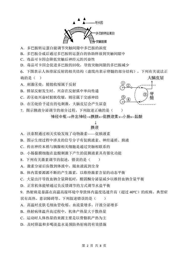 江苏省江阴长泾中学。洛社高中联考2024-2025学年高二上学期10月检测题生物试题第2页