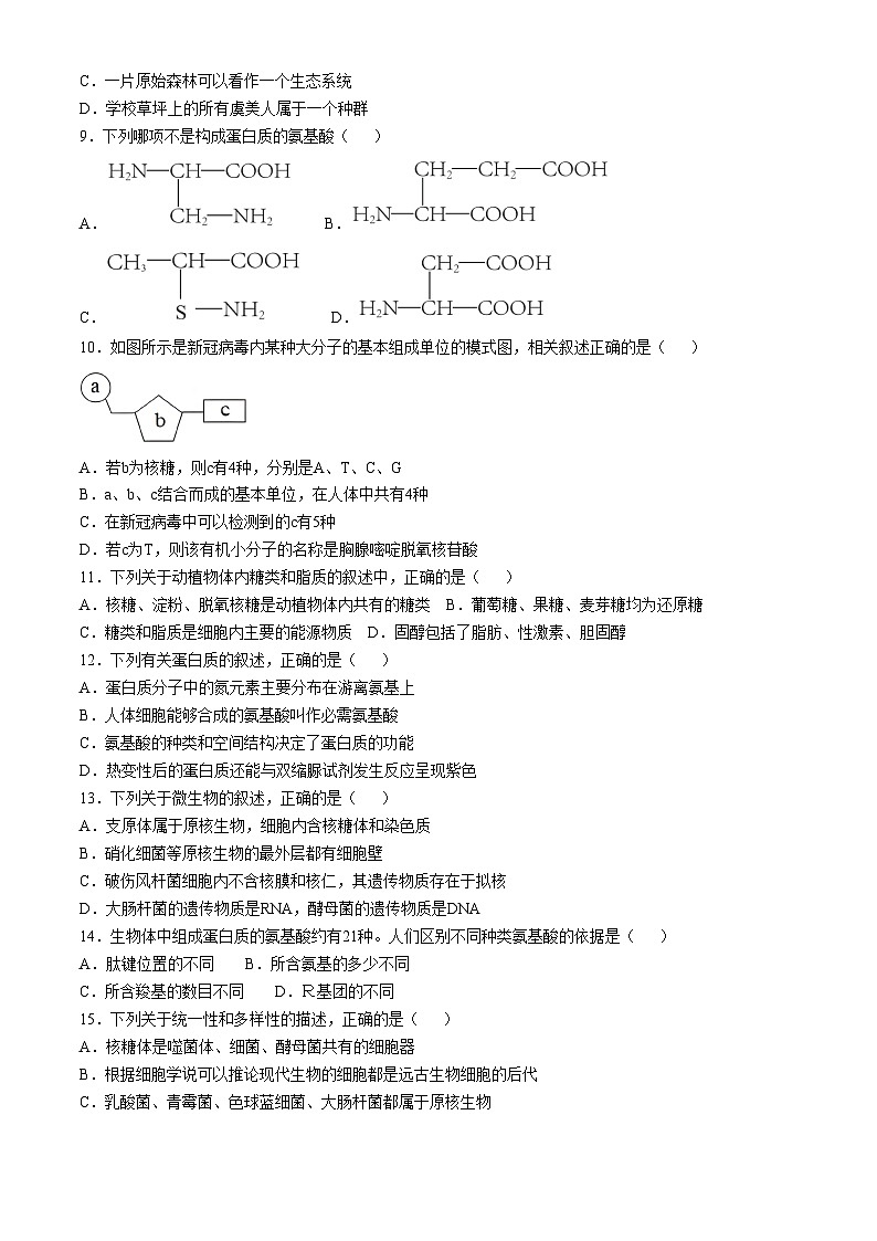 黑龙江省牡丹江市阳明区牡丹江市第二高级中学2024-2025学年高一上学期10月月考生物试题02