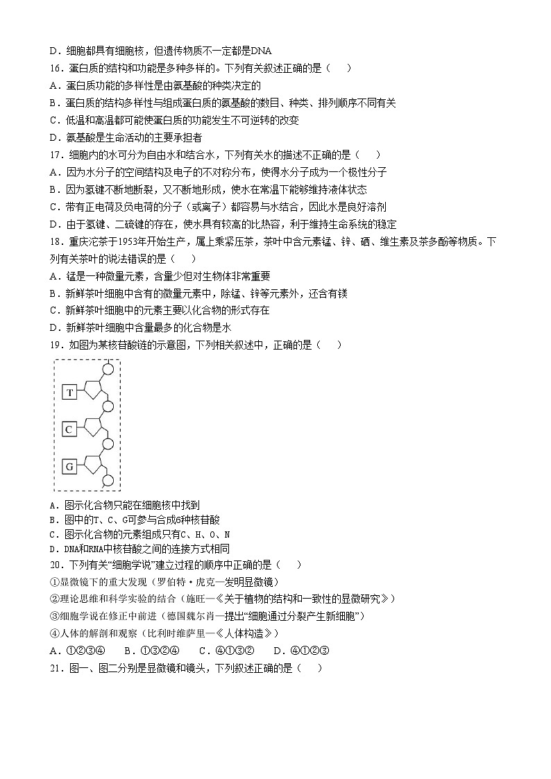 黑龙江省牡丹江市阳明区牡丹江市第二高级中学2024-2025学年高一上学期10月月考生物试题03