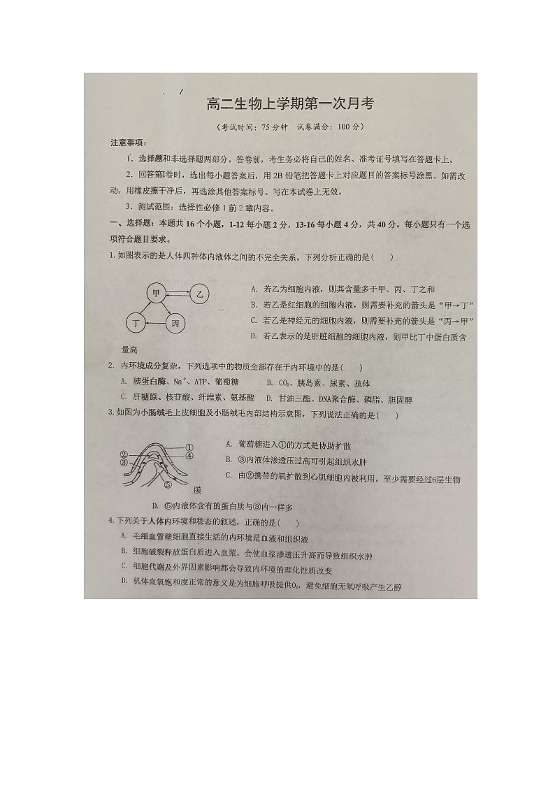 广西来宾市忻城县高级中学2024-2025学年高二上学期10月月考生物试卷第1页