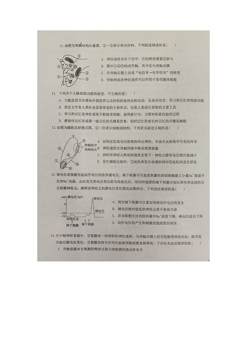 广西来宾市忻城县高级中学2024-2025学年高二上学期10月月考生物试卷第3页